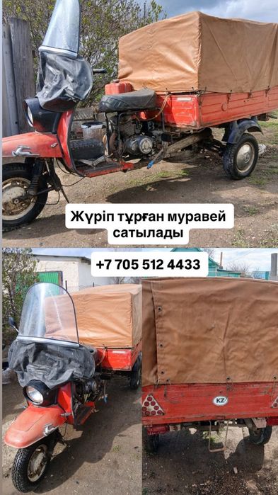 муравейний на полном ходу