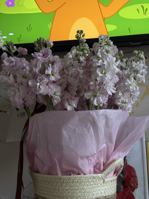 Цветы, продаю цветы свежие