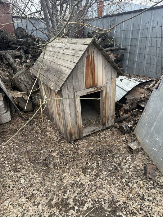 будка домик для собак