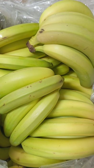 Фрукты овощи оптовые цены