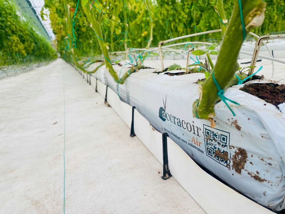 Кокосовый субстрат в матах 18 литр 100% гарантия качества!!!