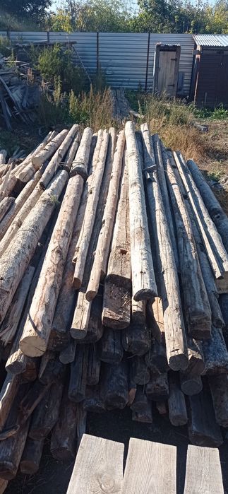Продам бревно кругляки.