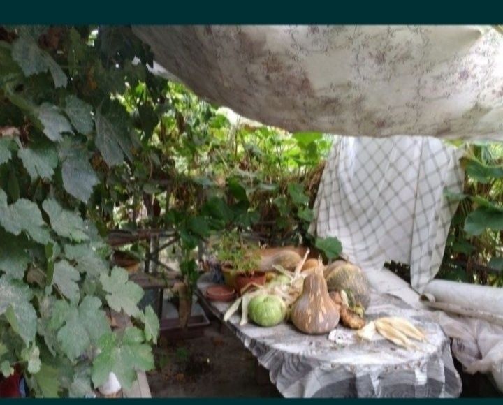 Продам дом в городе шу или обмен на квартиру