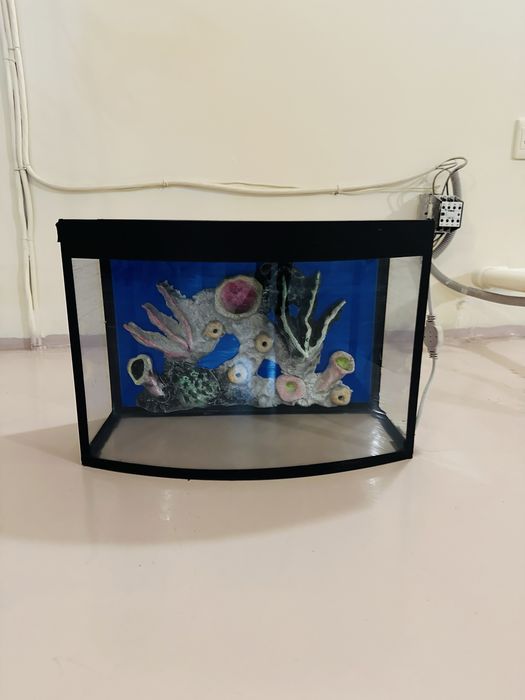 Аквариум akvarium