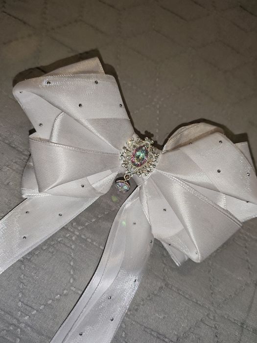 Фибички и ластиците за принцеси