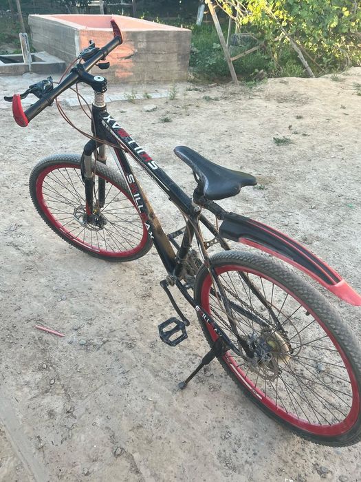 Белсовет спартибни