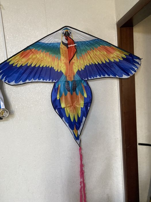 Воздушные змеи