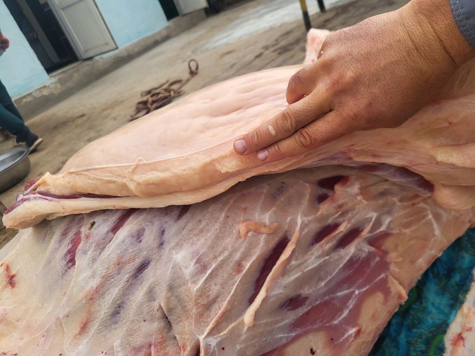 Жілік жылкы еті 2600тг