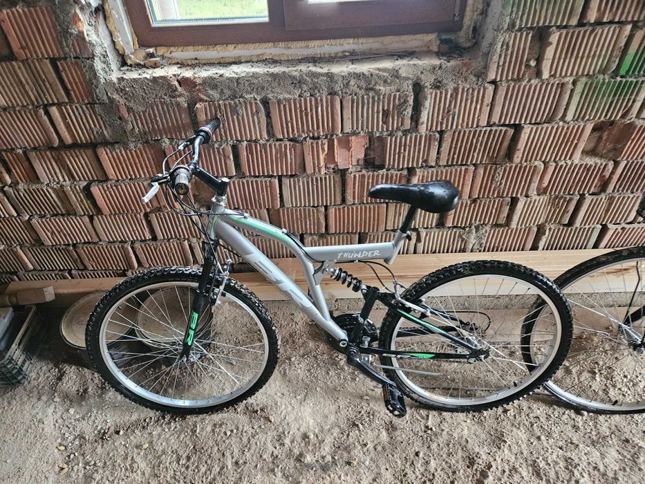 Biciclete  adulti DHS