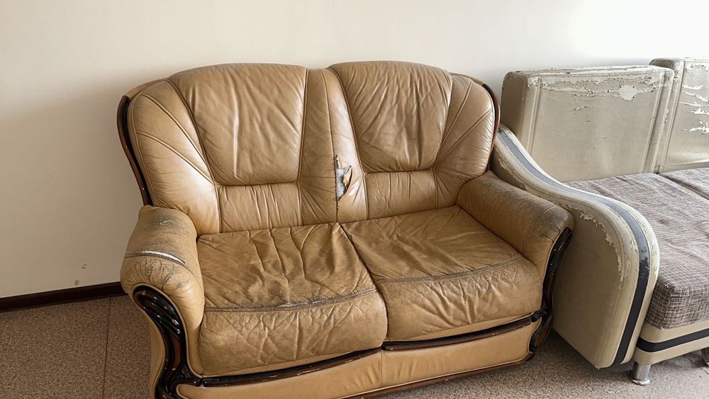 Отдам бесплатно. Самовывоз