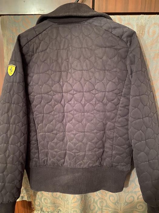 Мъжки якита  на пума