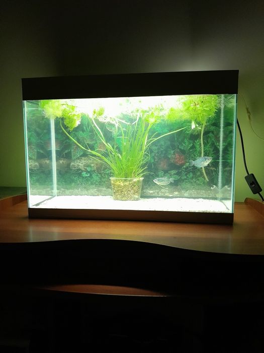 Продам новый аквариум