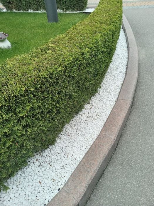 Ландшафтний белый галка камен