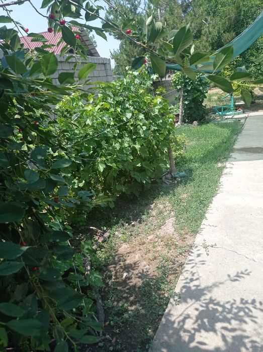 Дом продаётся. Продаётся дом. Продаю дом. Читайте подробнее!