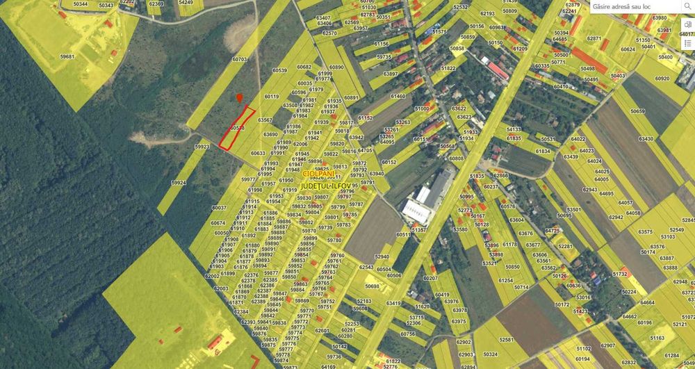 Teren Ciolpani intravilan - Ilfov 2467 mp -  langa padure, acces DN1, utilitati in cartier