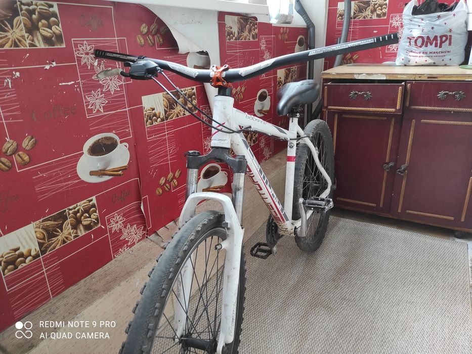 Продаю стант вел