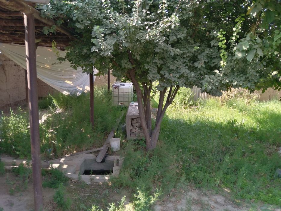 Ховли уй сотилади 12 соток