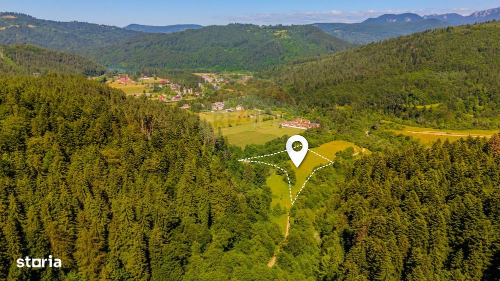 Teren 7300mp Sacele -zona Brădet/ Intravilan/ COMISION 0%