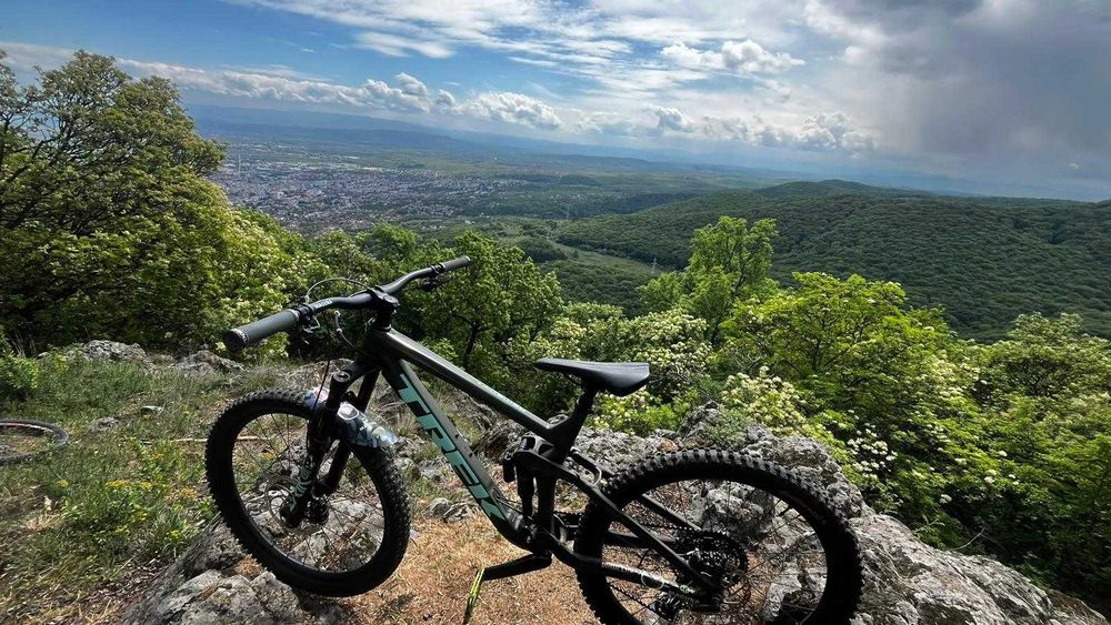 Bicicleta Trek Remedy 8