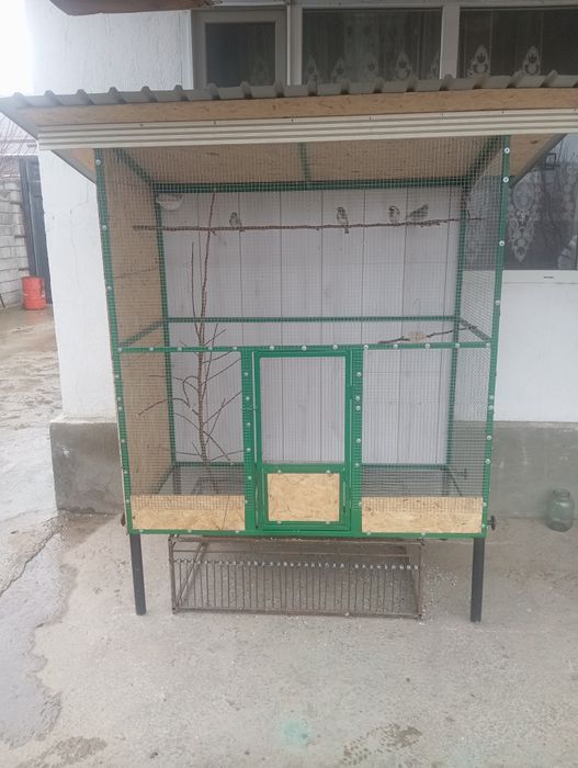 Птицы индюк курке