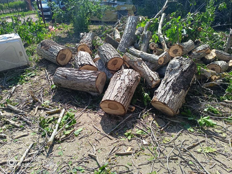 Дървен материал от орех