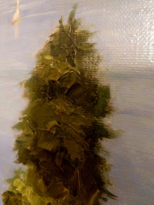 Pictură veche în ulei 80/60 cm