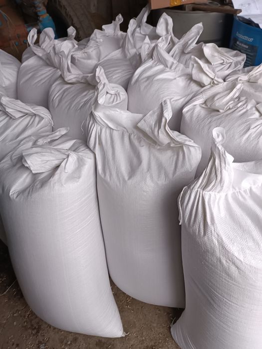 Ячмень кормовой.