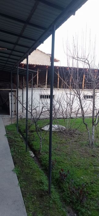 Zangiota tuman Tokzor Mfy Ganchkor koʻchasi