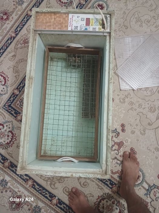 инкуватор сатылады