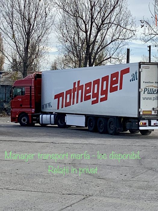 Manager transport rutier  marfa