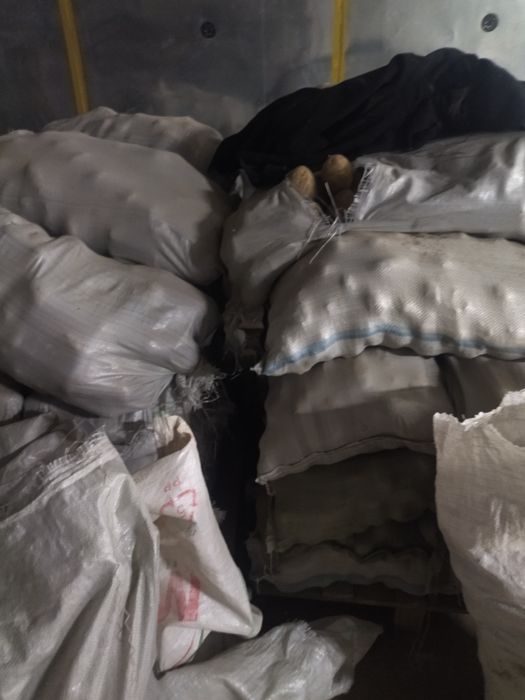 Семенной картофель