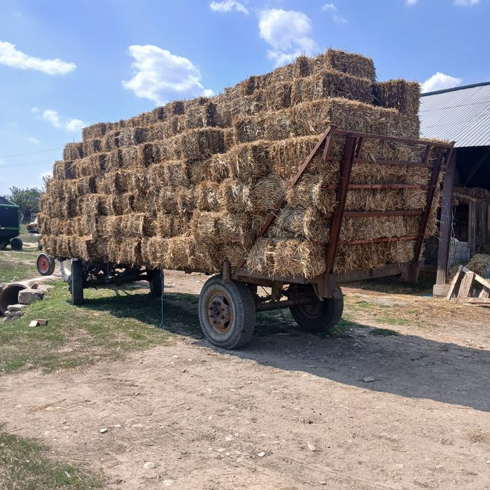 Vând baloti de paie și ovăz 2025