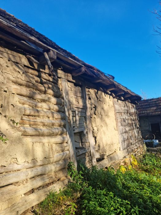 Lemn vechi sura veche lemn stejar cioplit in barda .