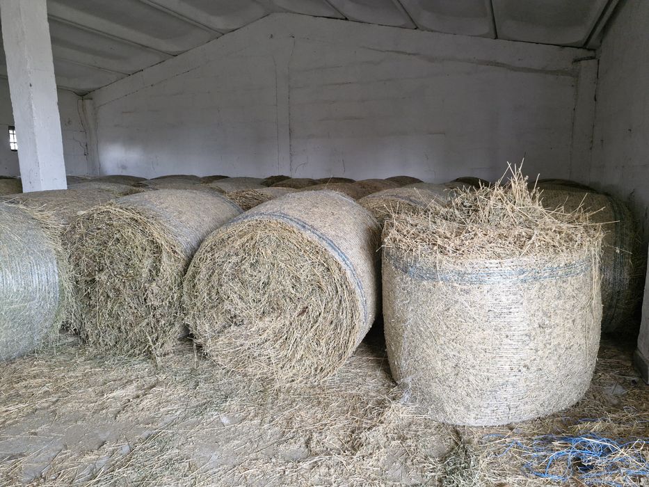 Vand baloti de lucernă