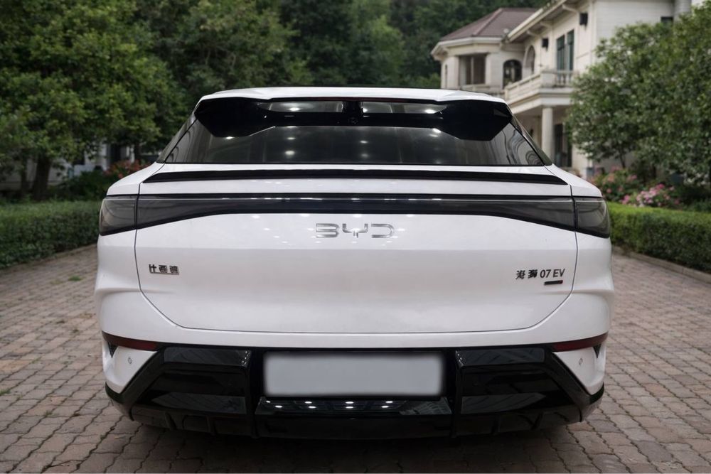 Byd Sea Lion 07 Full