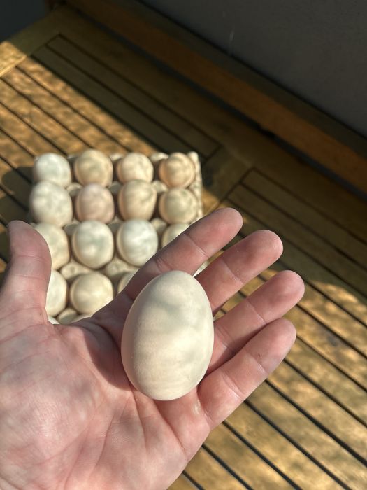 Домашни яйца от свободни кокошки