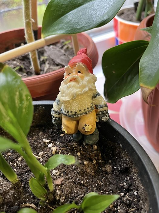 Урашения и сувенир