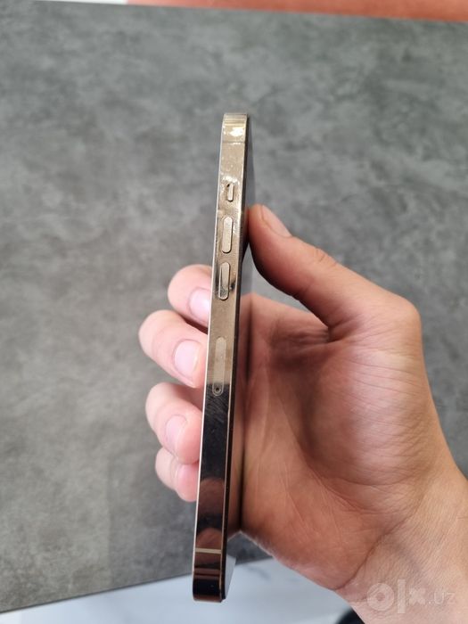Iphone 13 pro LL/A