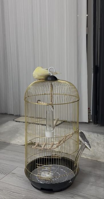 Клетка для попугаев, конусное