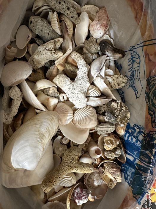 Для аквариума