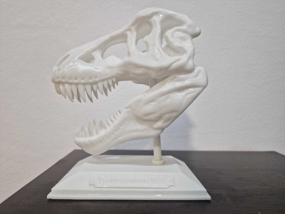 craniu dinozaur TREX