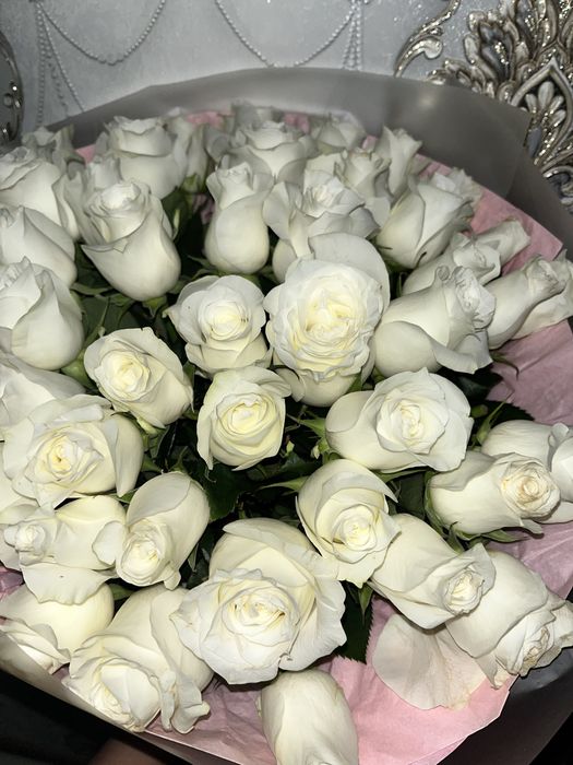 Гүл 51шт ақ роза
