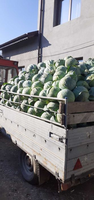 Vand varza de depozitare