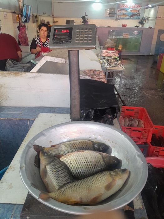 Рыба оптывый цена