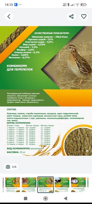 Богдановичский комбикорм