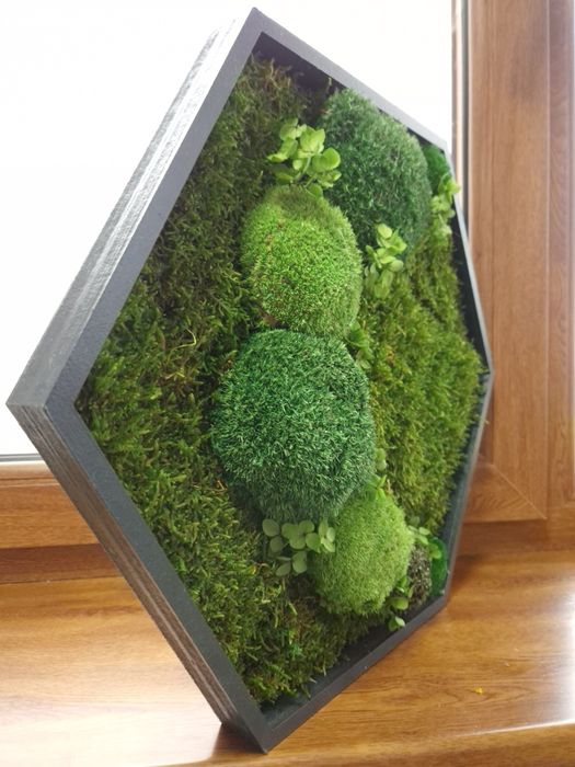 Tablou hexagonal din muschi si licheni 45.5 cm