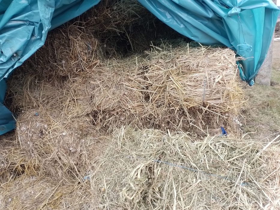 Baloti de fân cu lucernă