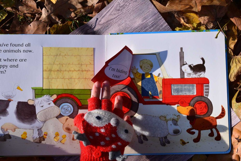 Carte Usborne Hide and Seek