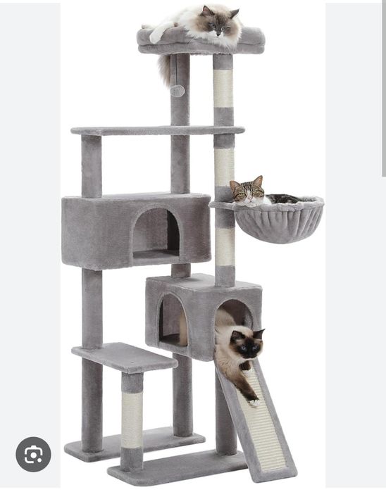 Mushuk uychasi xarxil turdagi kota va kichik uychalar