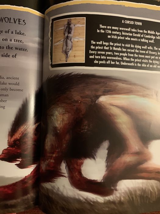 Enciclopedie zombi, vampiri, varcolaci